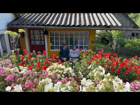 85-Year-Old Grandpa & 80-Year-Old Grandma Living a Simple Life in the Mountains 🏔️❤️