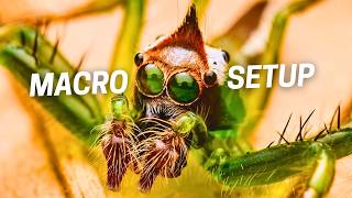 How To Shoot AWESOME Macro Images (With Micro Four Thirds)