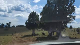 Adana - Saimbeyli Çatak Köyü (KocaYayla)