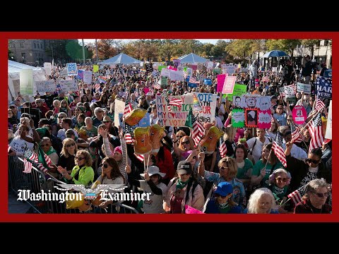 ‘Free America’ protesters organize nationwide walkout on anniversary of Trump’s return to office