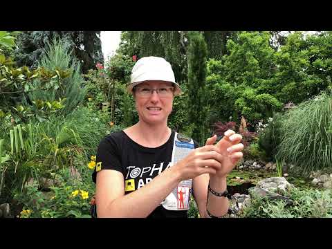 Der Schussablauf mit Lisa Unruh - Folge 5 - Lösen & Nachhalten