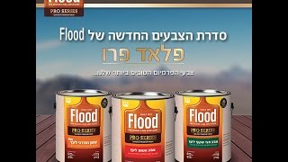 סדרת צבעי העץ פלאד פרו החדשה - מדע שמביא להצלחה! 