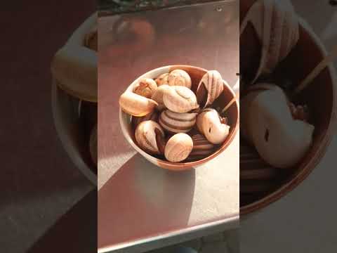 18 أكتوبر 2022