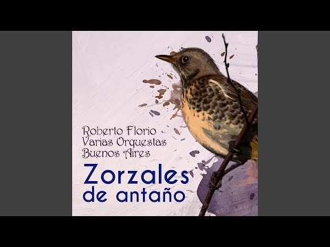 Toma Mate, Toma Mate