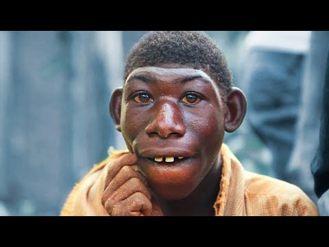 角のある動物:特徴と写真 -