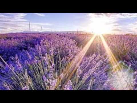 Karel Gott - Život je bílý dům