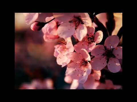 SPOILER ALERT: Wordle of the Day for May 8, 2022 ... Happy Mother's Day!