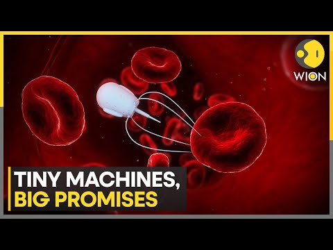 Magnetic Microrobots Rewriting The Rules of Medicine