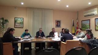 Ple Ordinari 29/01/2018