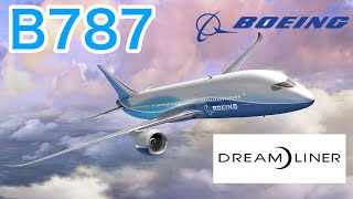 Boeing 787 Alarms T-CAS EGPWS Auto Anounce