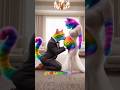 happy life of a rainbow cat family😻💞 #pets #cute #cat
