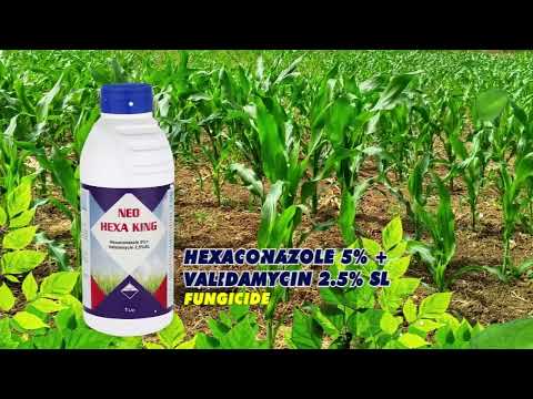 Teb gold      fungicides