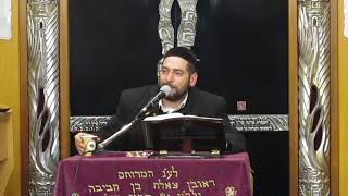 הרב אפרים שרבני שליט"א כיבוד הורים חלק ב'