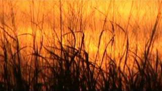 Scary Kids Scaring Kids - Star Crossed.mpg