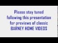 Please Stay Tune Barney Play Along Style 1