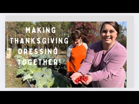 Turkey Chicken Cornbread Dressing Thanksgiving Holiday Recipe @ourforeverfarm