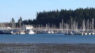 preview picture of video 'Oak Harbor Marina.mpg'