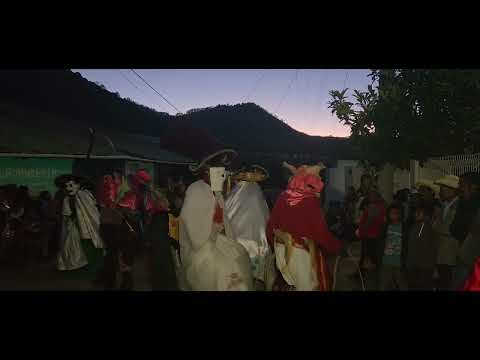 tardes de alegría con los "VIEJOS" San Miguel Peras, Zaachila, Oaxaca.