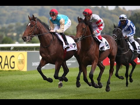 Düsseldorf: Klüh Security Preis Düsseldorf (D) - Sieger: El Loco