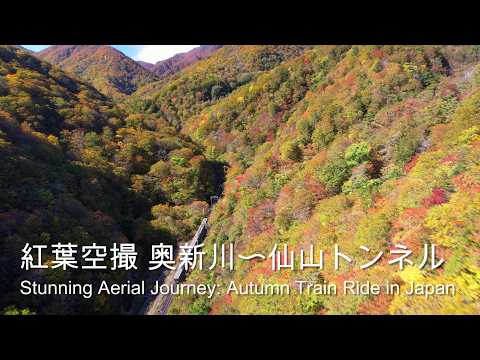 [4K] Stunning Aerial Journey: Autumn Train Ride in Japan / 仙山線紅葉空撮 奥新川駅〜面白山トンネル