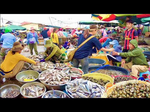 Explore Fish Market In CAMBODIA: One of The Most Site For Distribution Fish