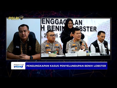 LIVE - IPTU AGUNG PUJIANTO KANIT IV SAT RESKRIM POLRESTA BANDARA SOETTA UNGKAP KASUS BENIH LOBSTER