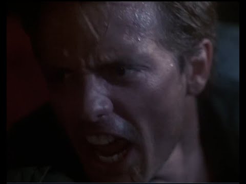 Terminator - Do you understand!!?