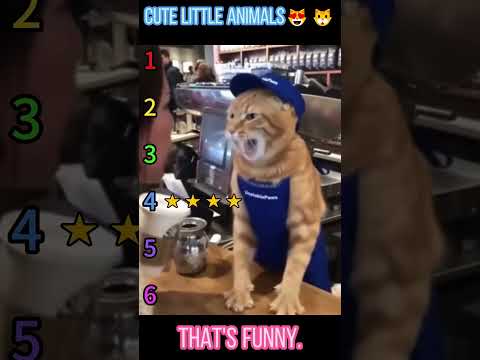 Thank you for watching, thank you for liking, I wish you happiness. #pov #foryou #storytime #fyp