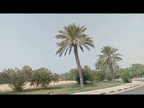 samandar or park ka khubsurat nazara 👌 rahima city🏙️ #sea #park #saudiarabia #viral #beautiful