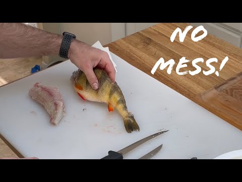 How to Clean a Perch - Quick, Easy, and No Mess!