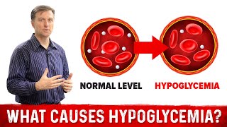What Causes Hypoglycemia?