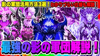 【俺アラ】よく使われる最強の影の軍団解説！実戦での活用方法3選！わかりづらい仕様も徹底解説！！！【俺だけレベルアップな件・ARISE・公認クリエイター】