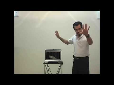 Saturn Magic -AUTO DOVE AND RABBIT CAGE by Tora Magic