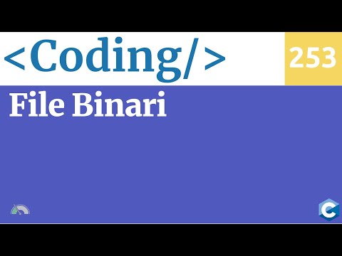 Leggere e scrivere file binari in C - Video 253 del corso di Coding
