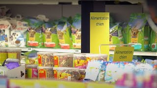 Quelles croquettes – YouTube A