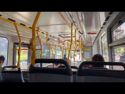 Nice ZF: Sunshine Tours BS05QN (MAN 16.220 Euro 3, ZF, Designline Orbitor)