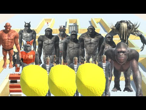 Primates Defend Coward Coles in the Maze. Infernals and Fantasy Try to Catch Them. Who wins? Arbs