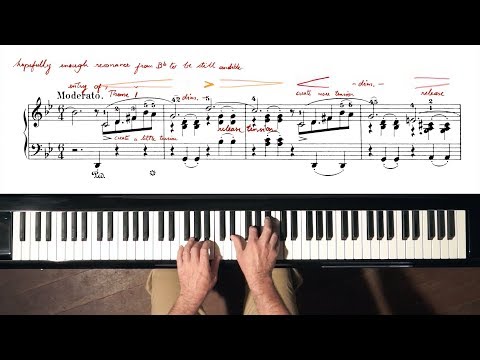 Chopin Ballade No.1 with SCORE - P. Barton, FEURICH piano
