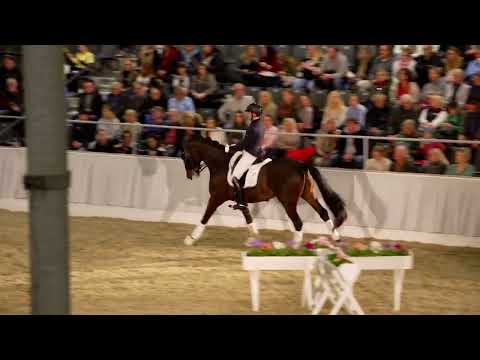 47 Fürst Fabrice_PB Schau Verden 2023