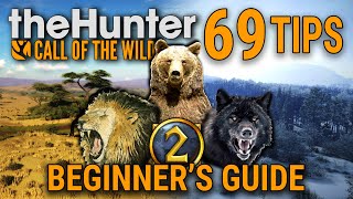 69 theHunter: Call of The Wild Tips | Beginner’s Guide 2024