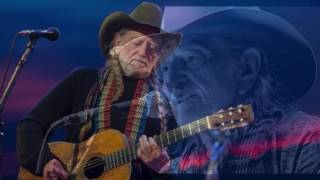 Fly Me To The Moon : Willie Nelson