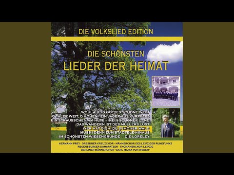 Im schönsten Wiesengrunde