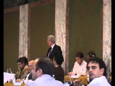 Intervento di Mansutti - Consiglio Comunale di Latina - Presentazione progetti 2008