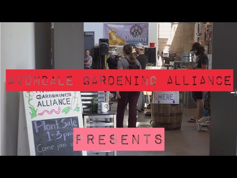 Play Video Youtube Video