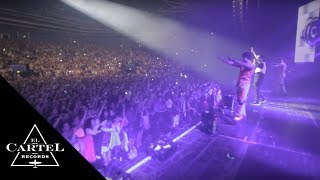 Daddy Yankee - Paris - Prestige World Tour (2013) [Live]