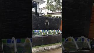 น้ำพุฮวงจุ้ย พุๆ พุ่งๆ นำพลังงานที่ดีเข้าบ้าน ตามตำรา ซินแส อ.มาศ โดย ม่านน้ำดีไซน์ น้ำพุฮวงจุ้ย พุๆ พุ่งๆ นำพลังงานที่ดีเข้าบ้าน ตามตำรา ซินแส อ.มาศ โดย ม่านน้ำดีไซน์