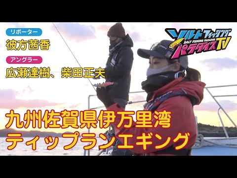 九州佐賀県伊万里湾　ティップランエギング（ソルパラTV・第61回2021年11月25日放送）
