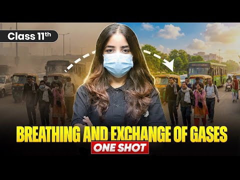 Breathing and Exchange of Gases Class 11 One Shot | 11th Biology Chapter-14 Revision | CBSE 2026