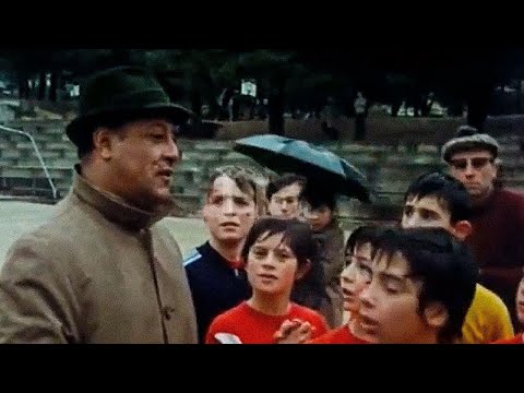 "Go Crocodiles", the documentary about Nîmes Olympique in October 1972