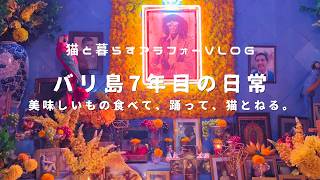 バリ島で自然もカフェも夜も楽しむ。ウブドで今一番美味しいレストラン！海外生活の日常と非日常#海外生活vlog #ねこのいる暮らし  #バリ#ウブド#アラフォー海外移住